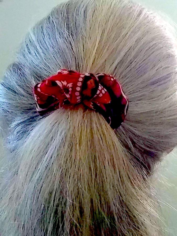 back of woman's hair (gray) wearing red print scrunchie